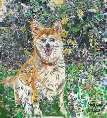 24401  My dog and only Friend Juno, Shiba inu  - Commenced painting in 2020. Completed in 2024 - Print on Fine Art Paper (42x46.5cm/ 16.5x18.3") or  (59.4x 65.8cm/23.3x25.9 ”)  - Limited Edition